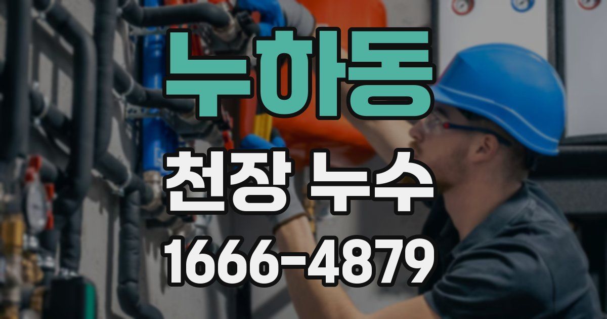 누하동 천장 누수