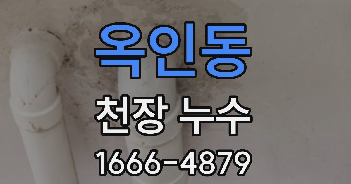 옥인동 천장 누수
