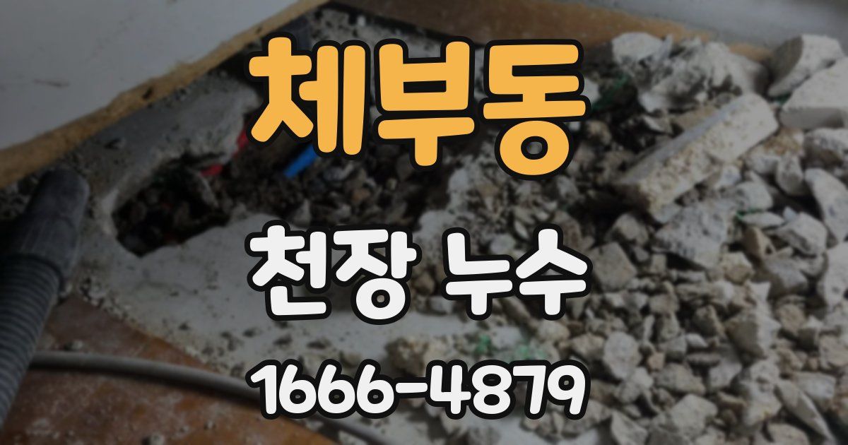 체부동 천장 누수