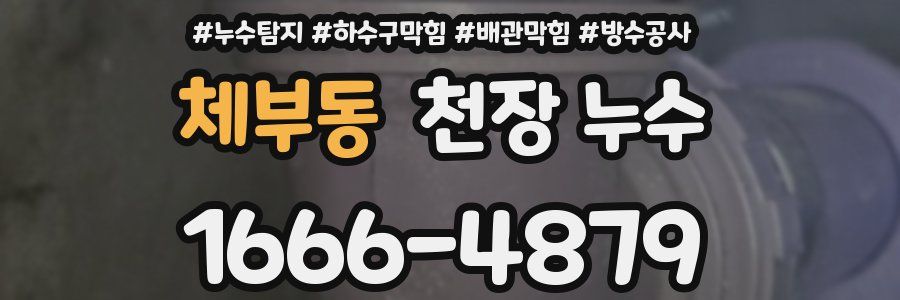 체부동 천장 누수