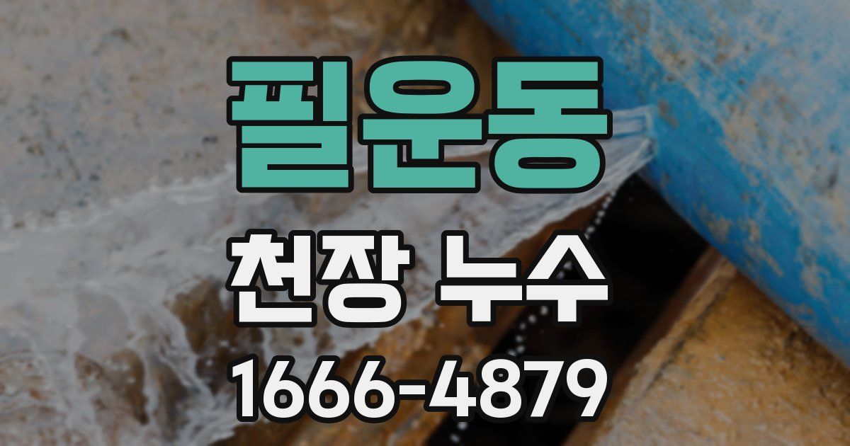 필운동 천장 누수