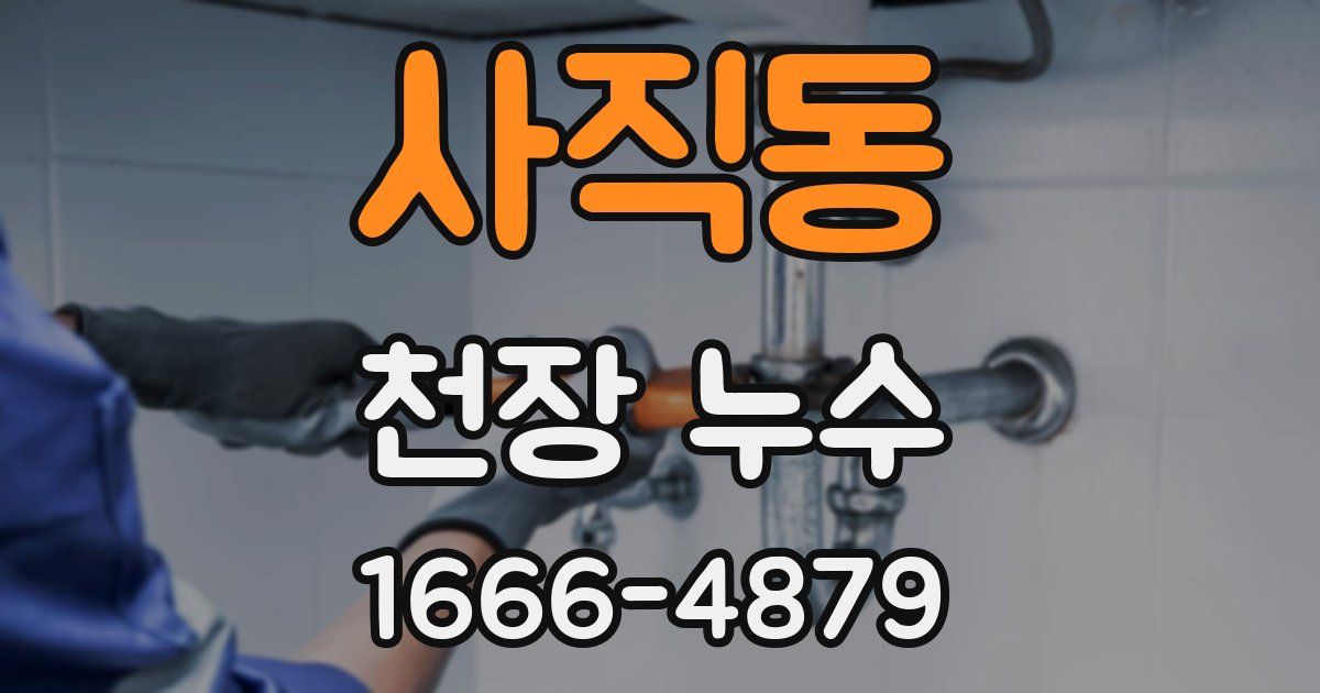 사직동 천장 누수
