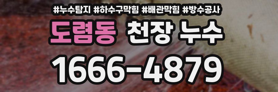도렴동 천장 누수
