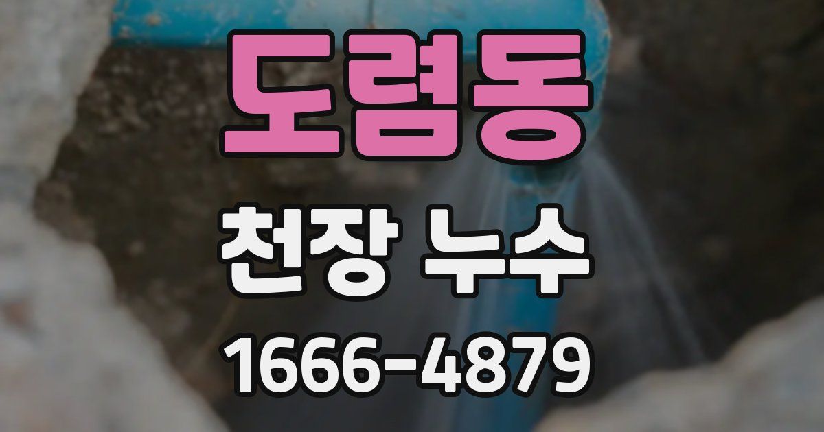 도렴동 천장 누수