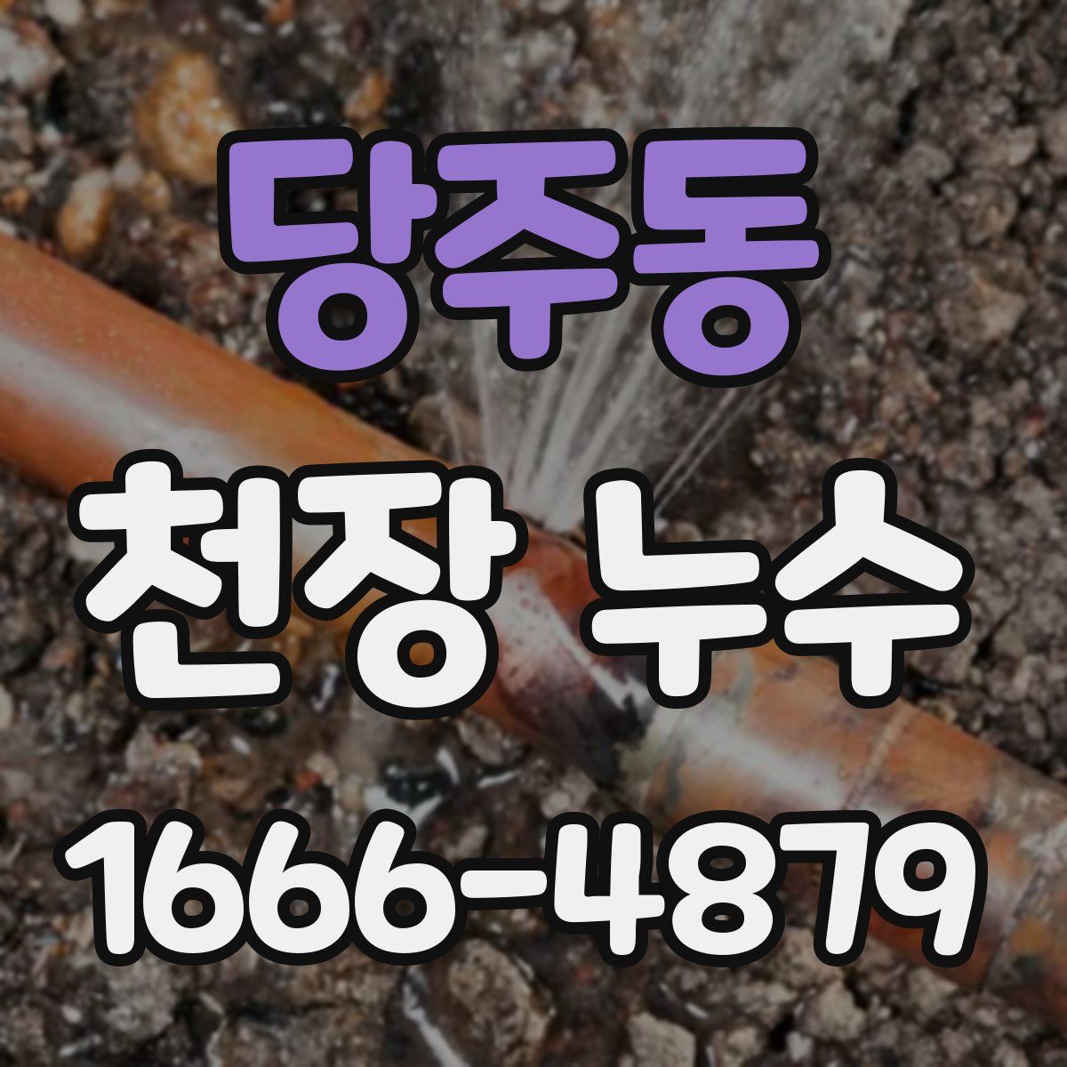 당주동 천장 누수