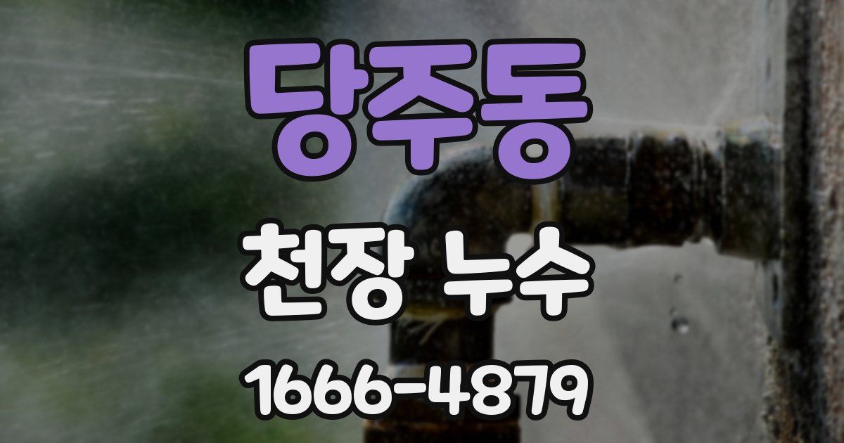 당주동 천장 누수