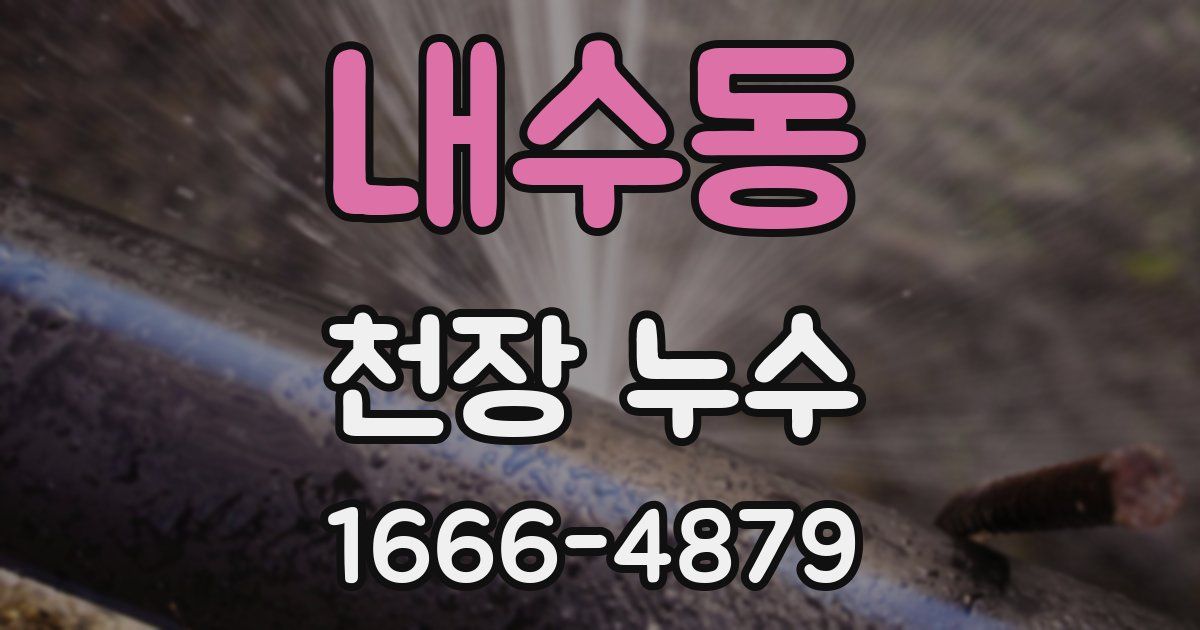 내수동 천장 누수