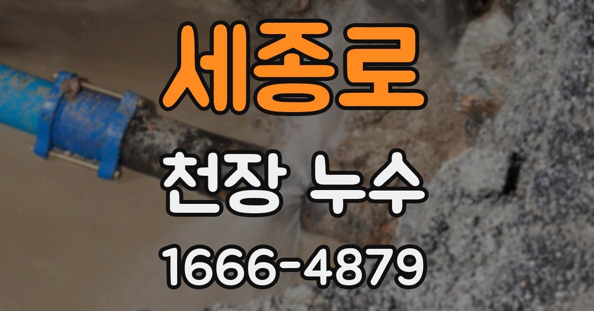세종로 천장 누수