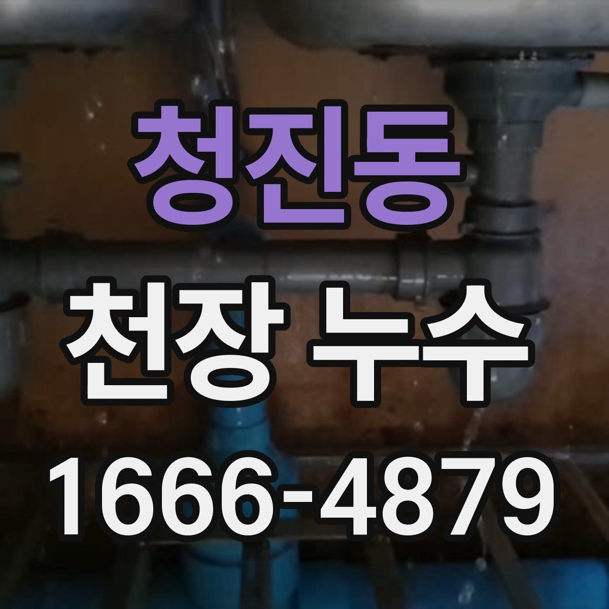 청진동 천장 누수
