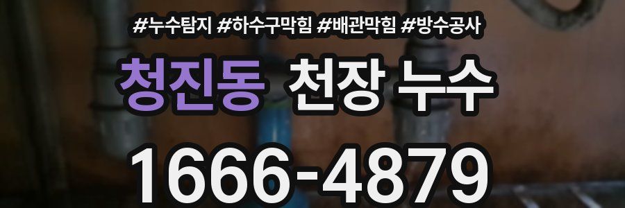 청진동 천장 누수