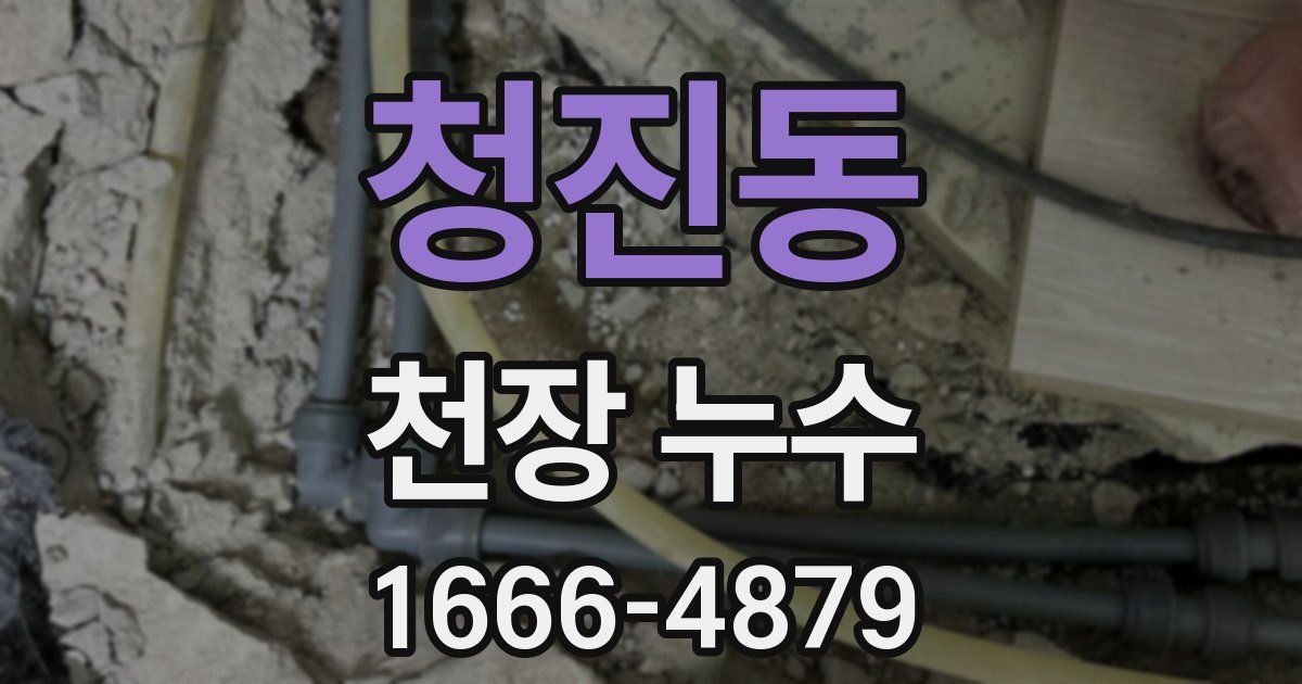 청진동 천장 누수