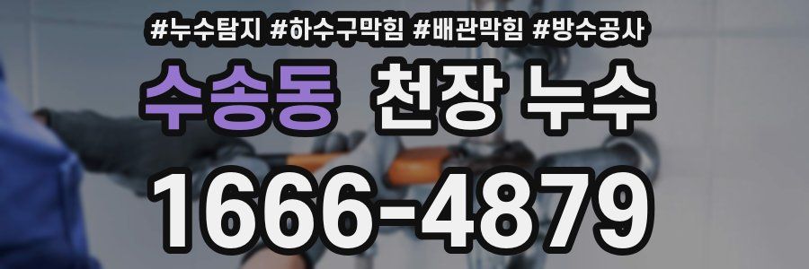 수송동 천장 누수