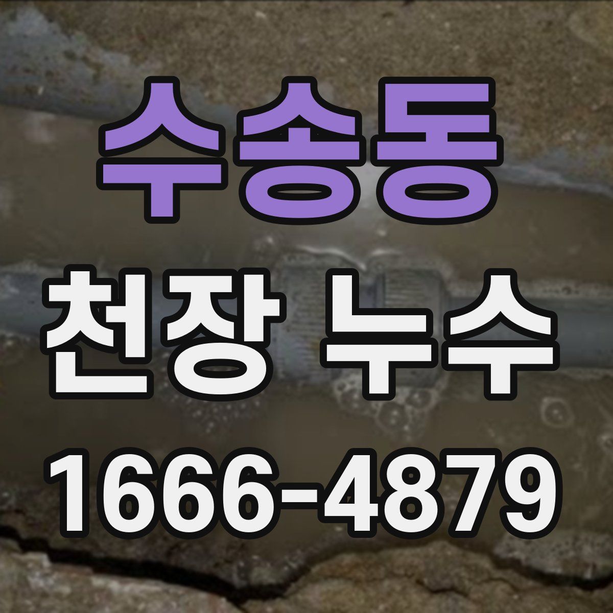 수송동 천장 누수