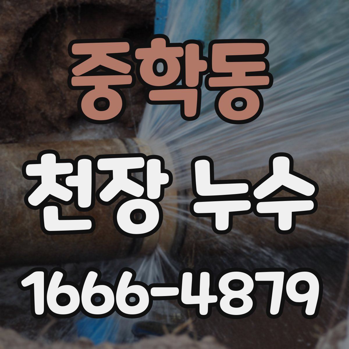 중학동 천장 누수