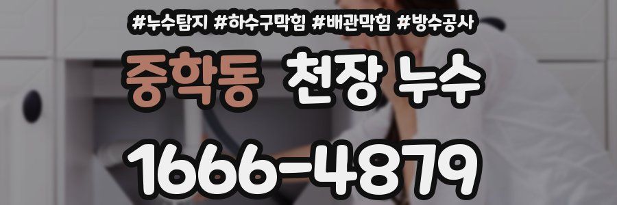 중학동 천장 누수