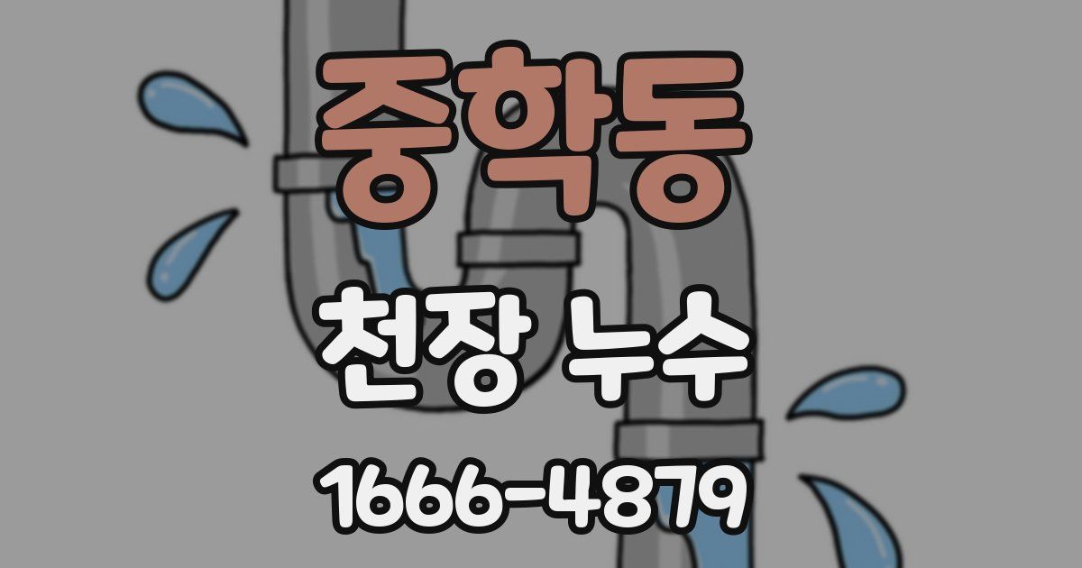중학동 천장 누수