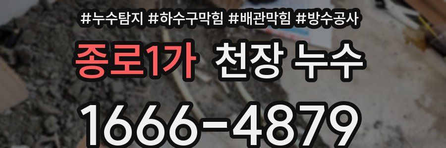 종로1가 천장 누수