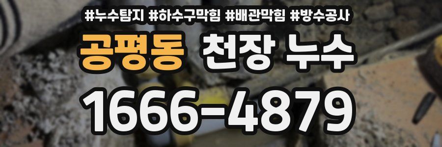 공평동 천장 누수
