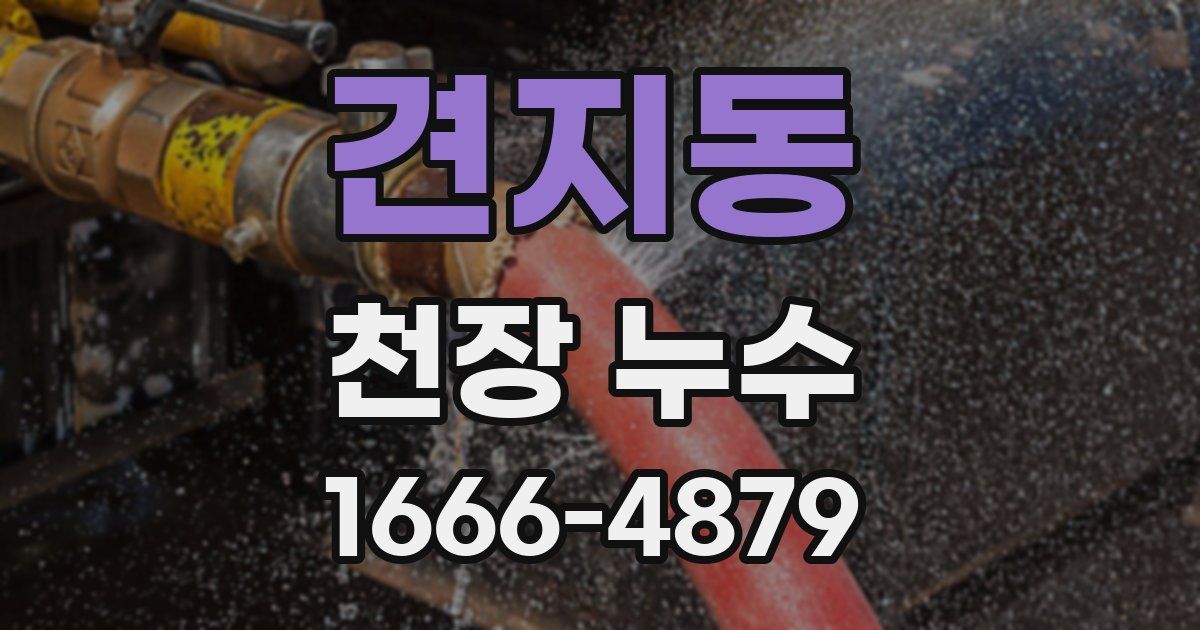 견지동 천장 누수