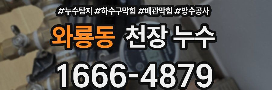 와룡동 천장 누수