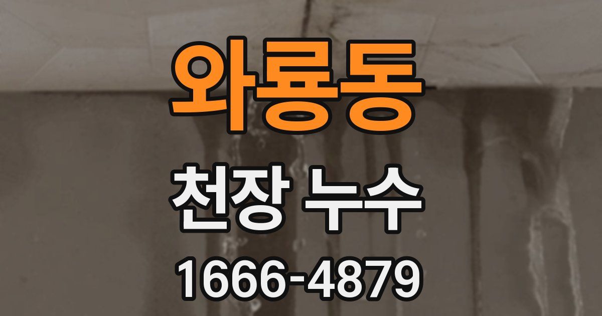 와룡동 천장 누수