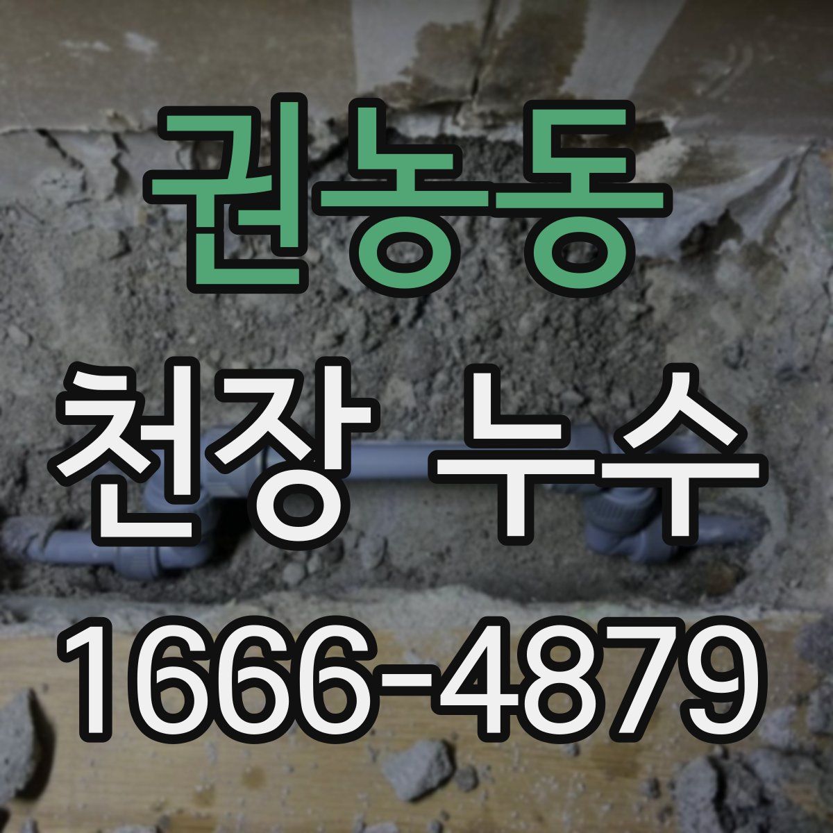 권농동 천장 누수