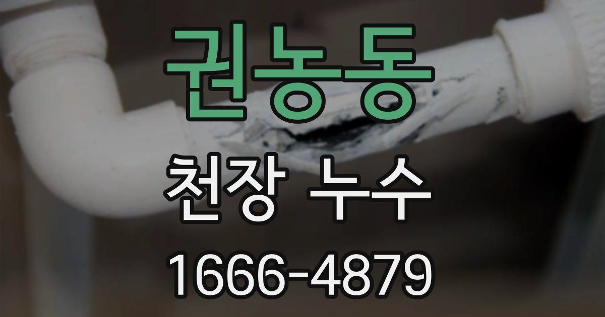 권농동 천장 누수