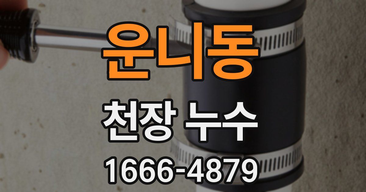 운니동 천장 누수
