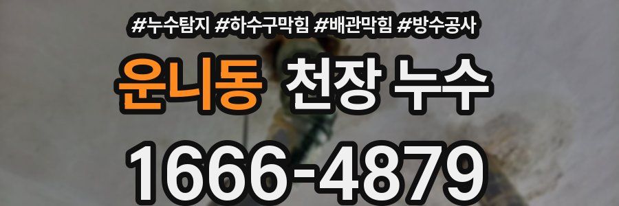 운니동 천장 누수