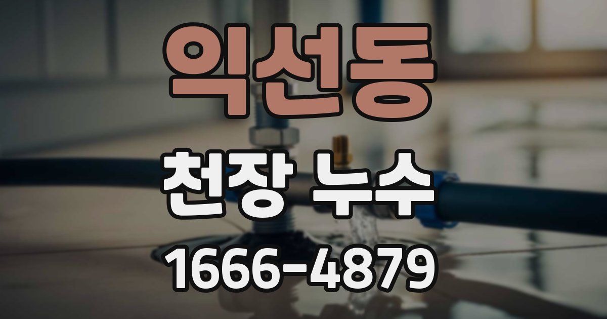 익선동 천장 누수