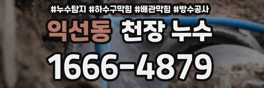 익선동 천장 누수