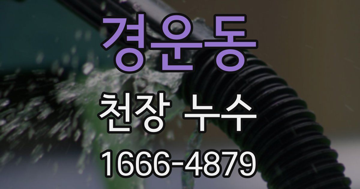 경운동 천장 누수