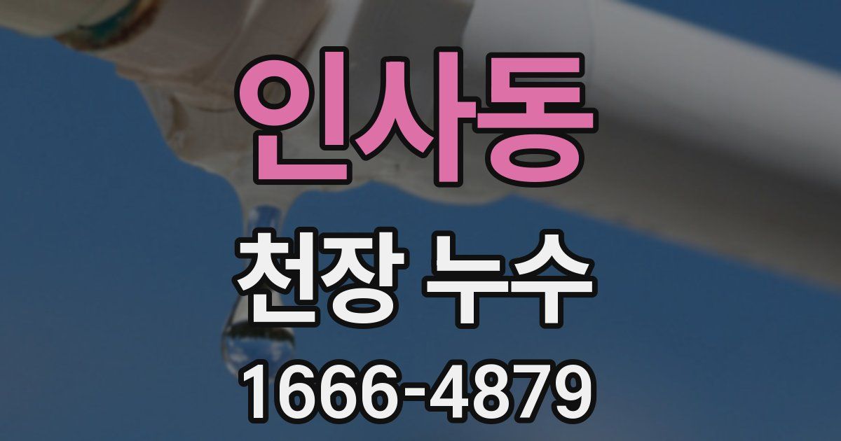 인사동 천장 누수