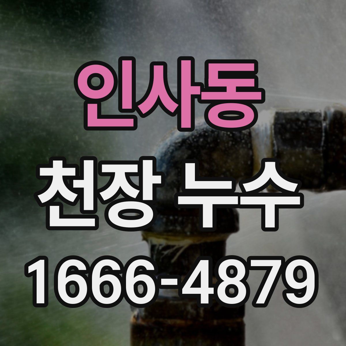 인사동 천장 누수