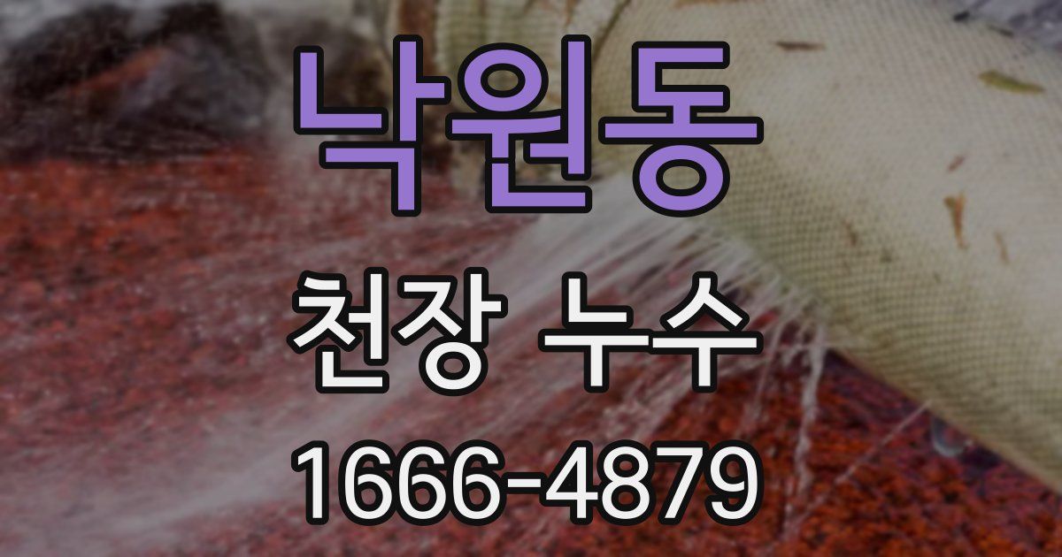 낙원동 천장 누수
