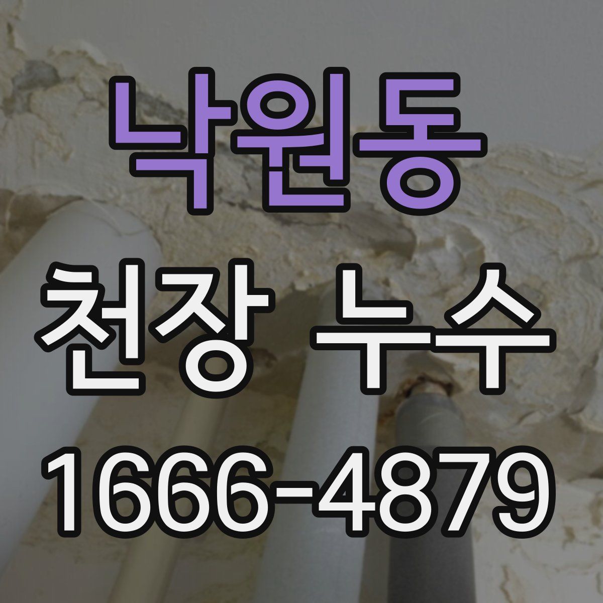 낙원동 천장 누수