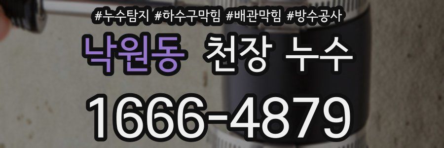 낙원동 천장 누수