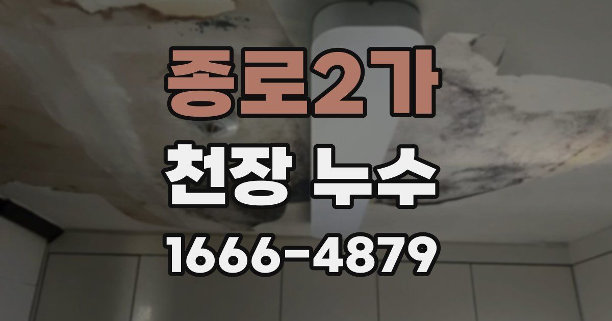 종로2가 천장 누수