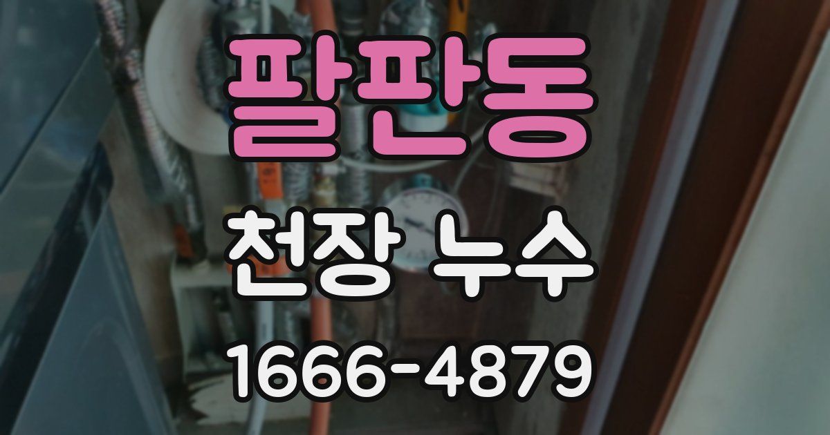 팔판동 천장 누수