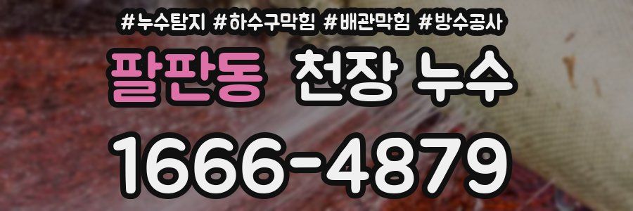 팔판동 천장 누수