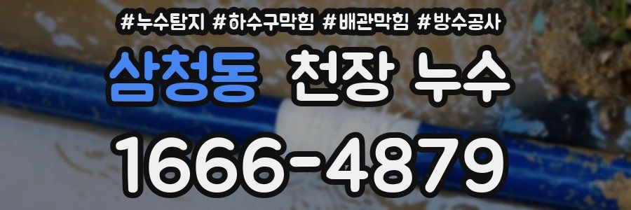 삼청동 천장 누수