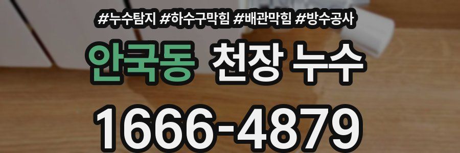 안국동 천장 누수