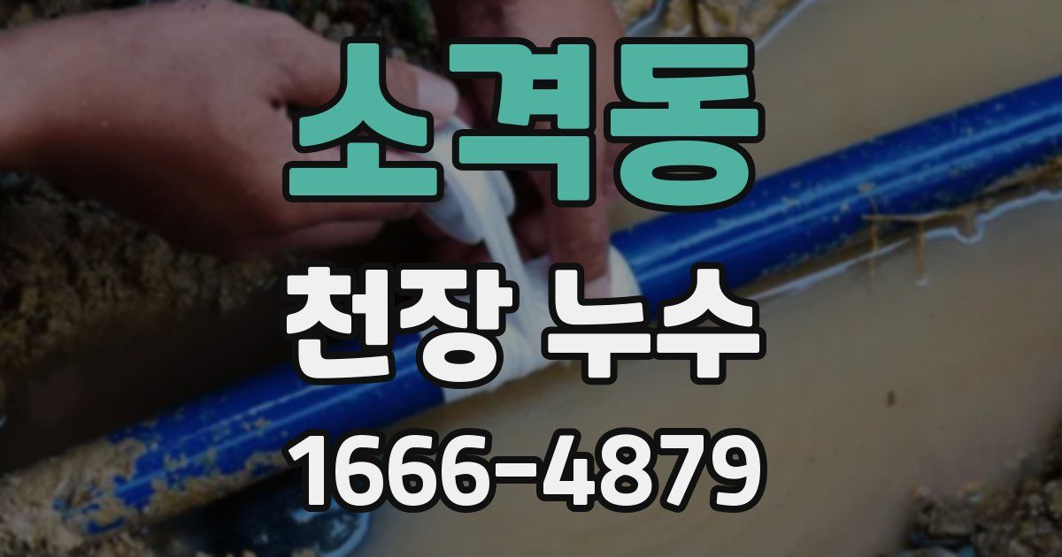 소격동 천장 누수