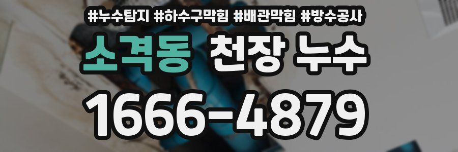 소격동 천장 누수