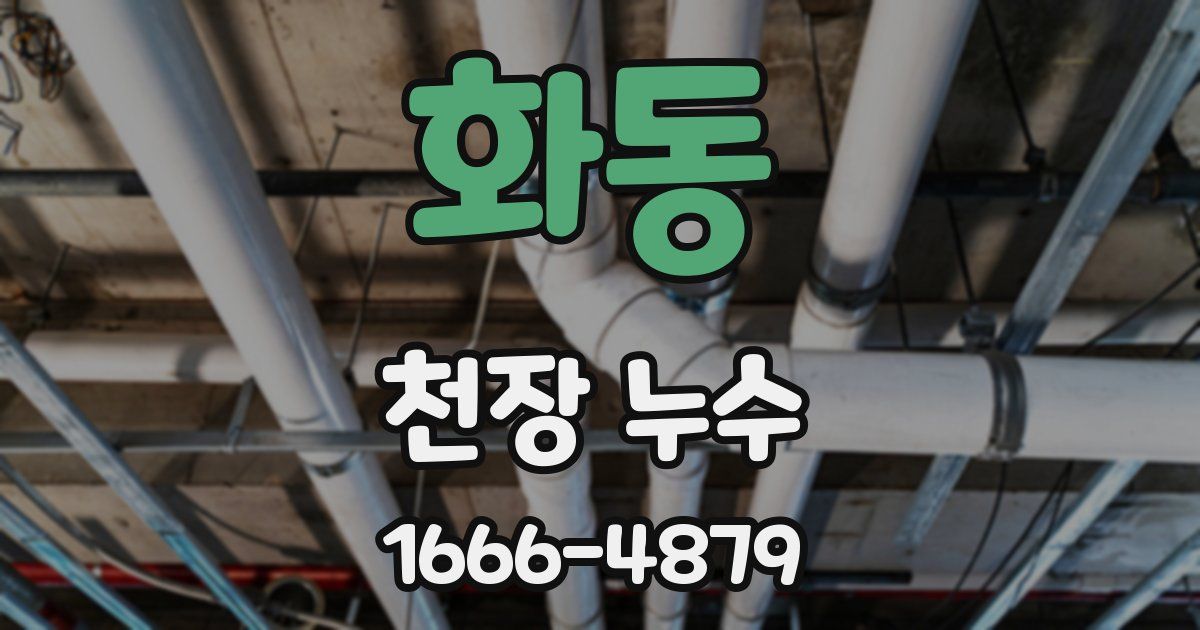 화동 천장 누수