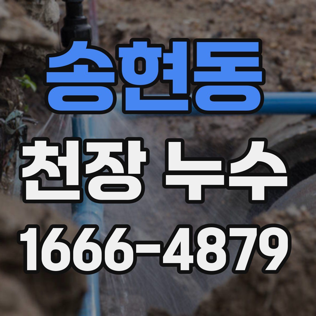 송현동 천장 누수