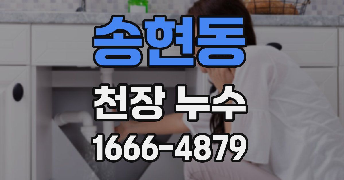 송현동 천장 누수