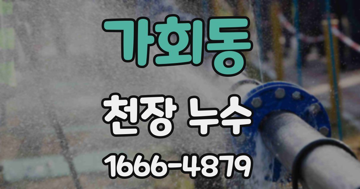 가회동 천장 누수