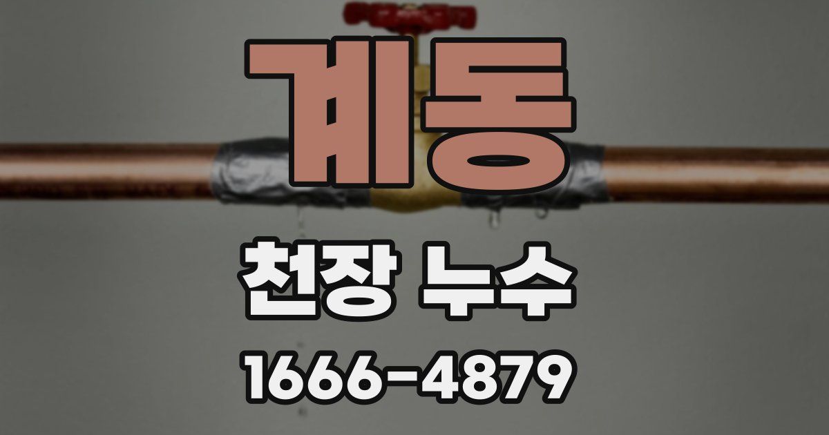 계동 천장 누수