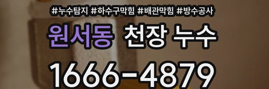원서동 천장 누수